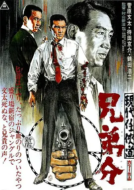 侠盗兄弟
