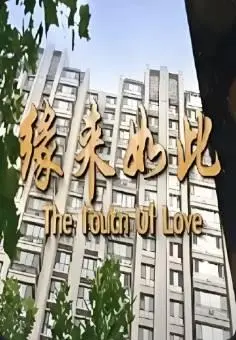 缘来如此