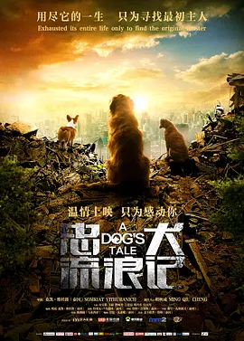 狗狗流浪记